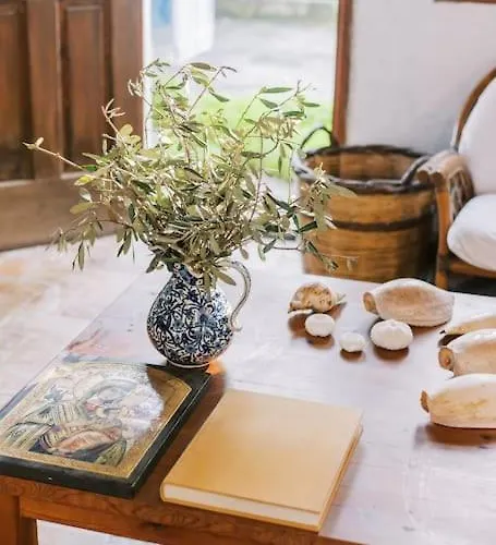 Margarita - Ampia Situated In فيلة لاردوس