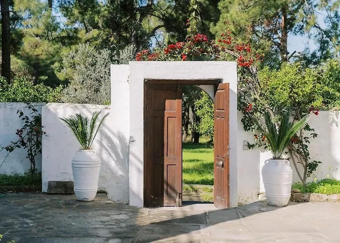 Margarita - Ampia Situated In لاردوس