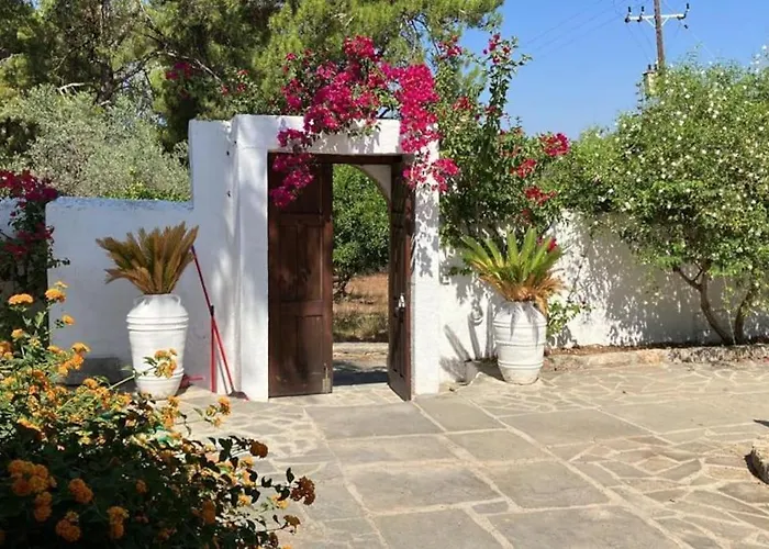 Margarita - Ampia Situated In *