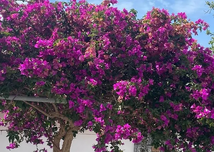 Margarita - Ampia Situated In Villa Lardos